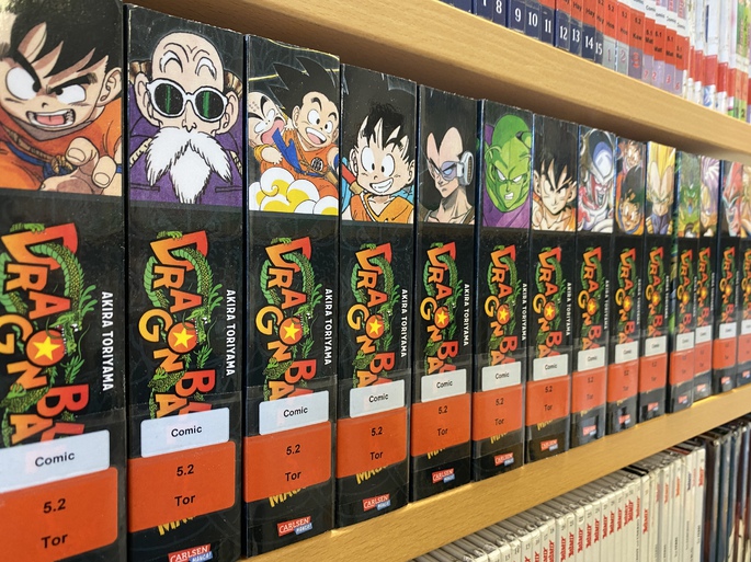 Dragon Ball Massiv!
